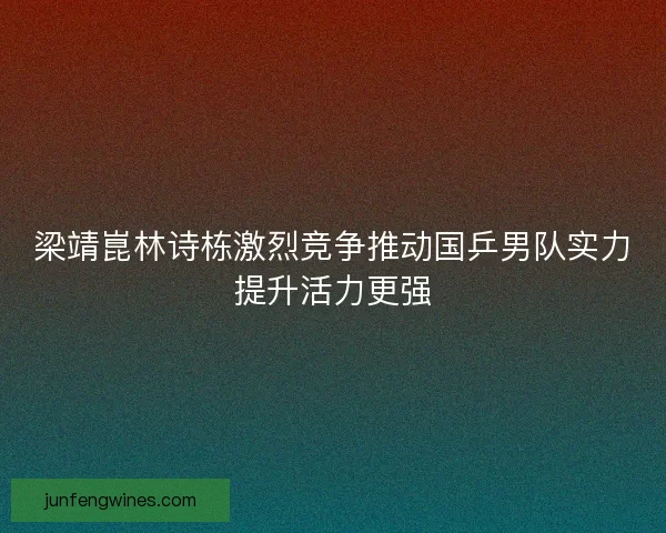 梁靖崑林诗栋激烈竞争推动国乒男队实力提升活力更强