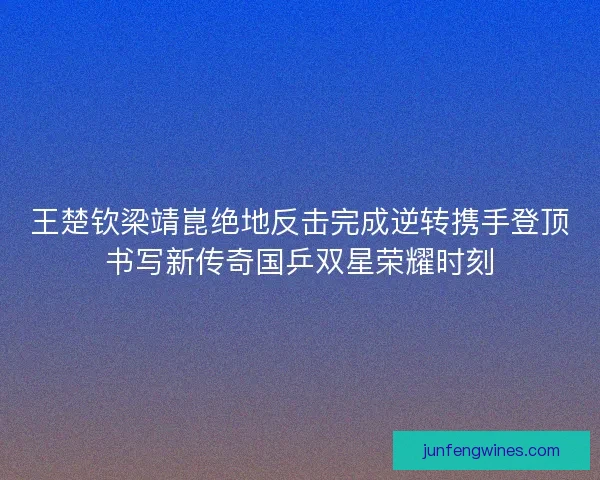 王楚钦梁靖崑绝地反击完成逆转携手登顶书写新传奇国乒双星荣耀时刻