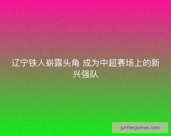 辽宁铁人崭露头角 成为中超赛场上的新兴强队