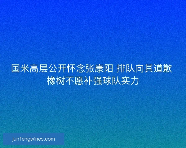 国米高层公开怀念张康阳 排队向其道歉 橡树不愿补强球队实力